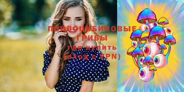 MDMA Медногорск