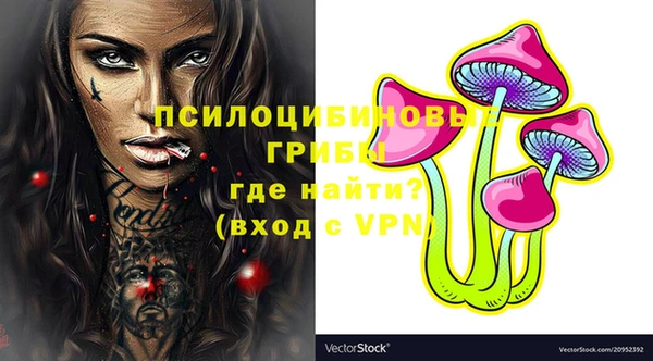 амф Мегион