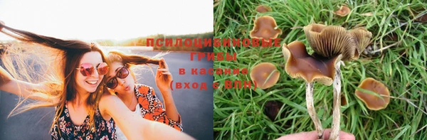 марихуана Медвежьегорск