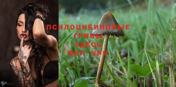 амф Мегион