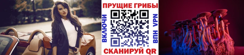 Галлюциногенные грибы ЛСД  Полярные Зори 